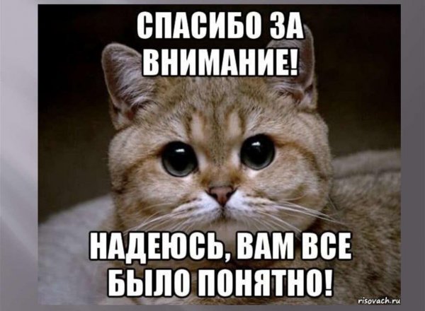 Листья клёна падают с ясеня нифига себе