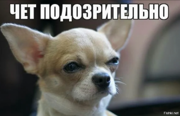 Хаски подозревака