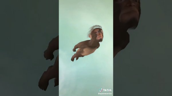 Кота тошнит gif