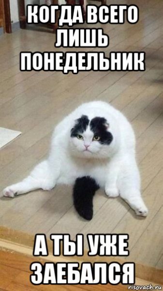 Картинка прикол я заебался