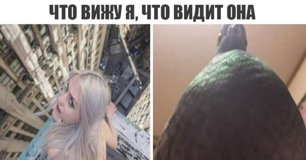 Что видит он