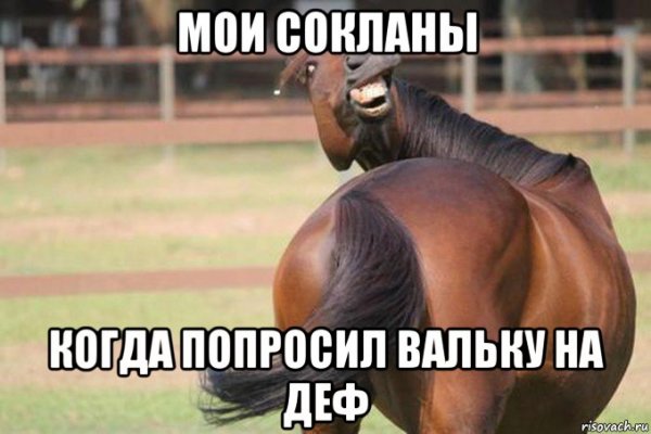 Мемы про девушку и лошадь
