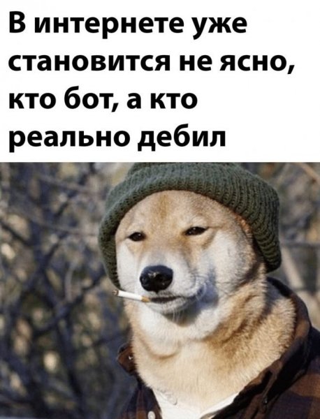Мемы 2018 с картинками смешные