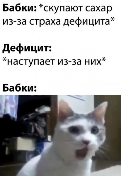 Топ мемы