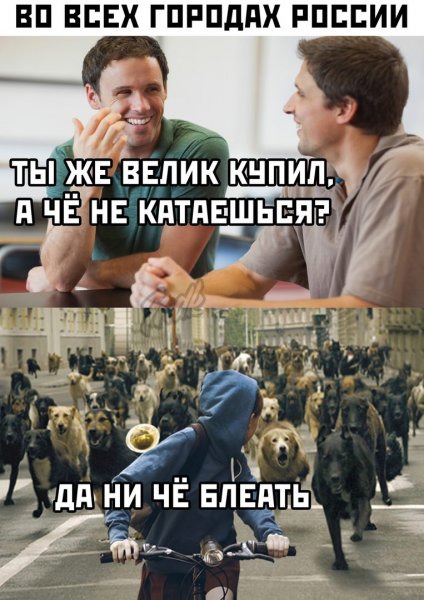 Смешные актуальные мемы