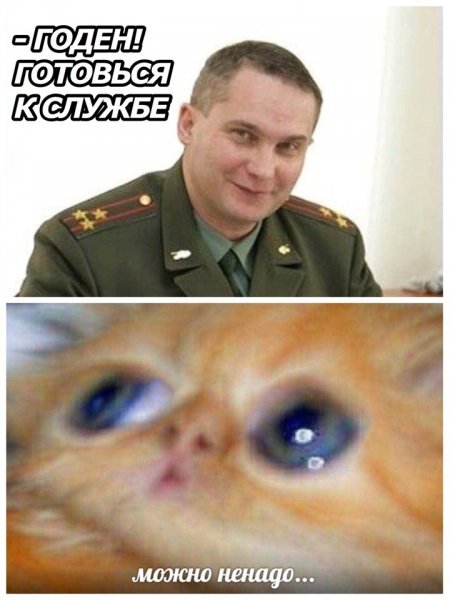 Может не надо Мем кот