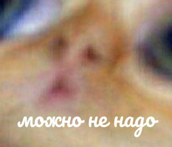 Можно не надо