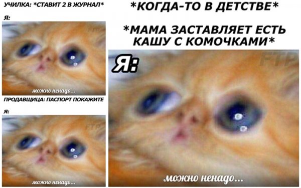 Может не надо Мем кот