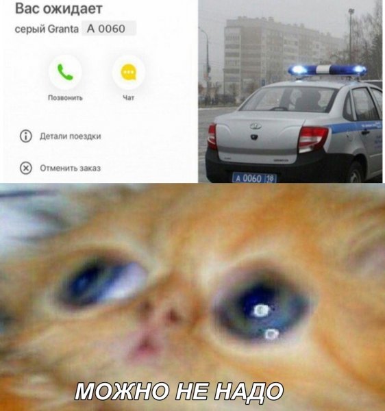 Можно ненадо Мем