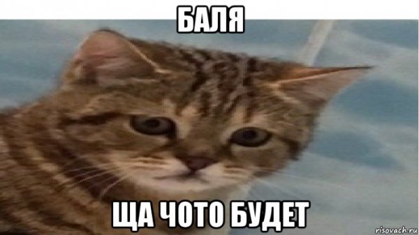 Ненадо мемы