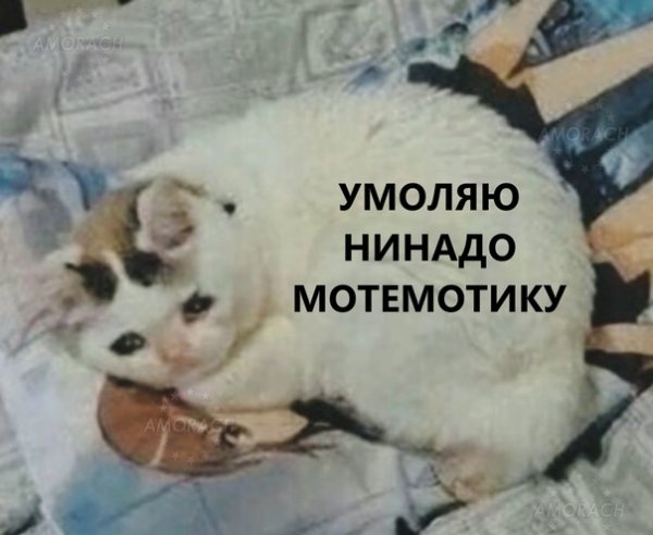 Может не надо Мем кот