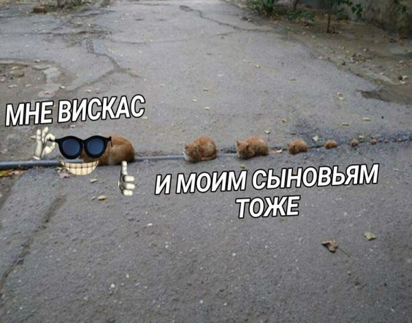 Мне пожалуйста и моему сыну тоже