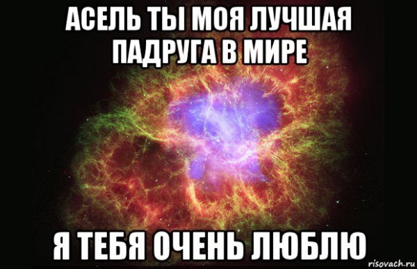 Я тебя люблю Асель