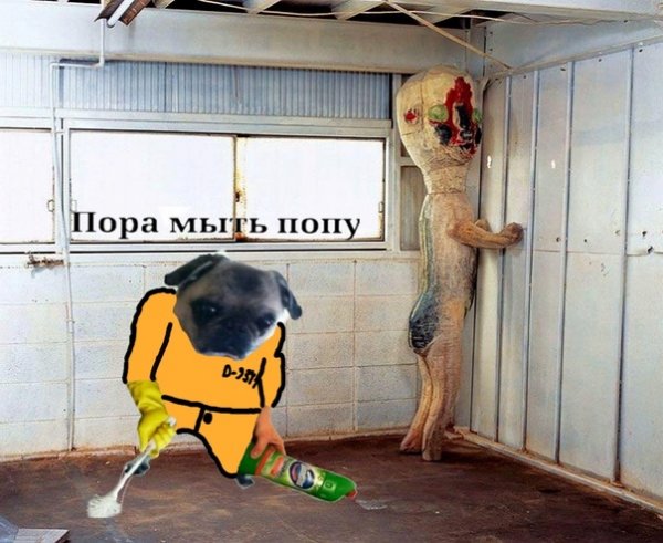 Попа в мыле прикол
