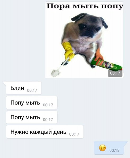 Попу мыл Мопс