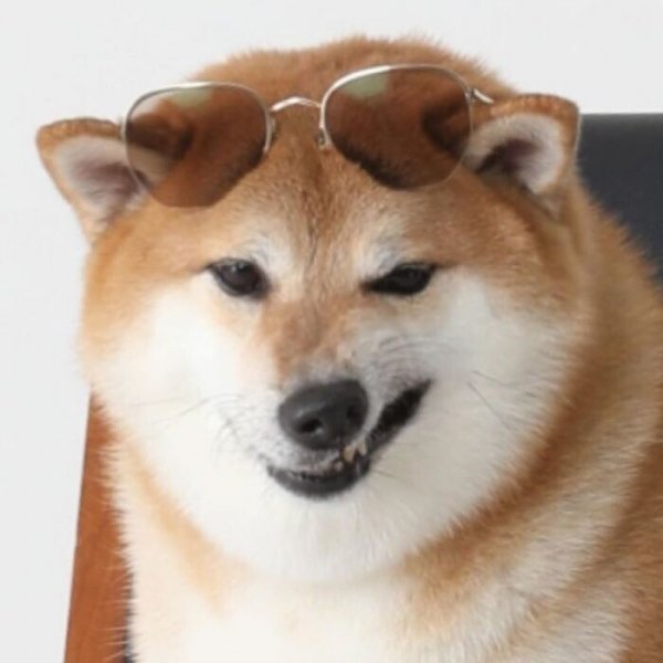 Сиба ину Мем 2020