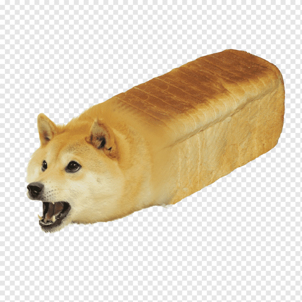 Сиба-ину Doge