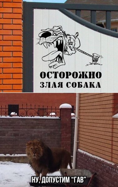 Осторожно злая собака юмор