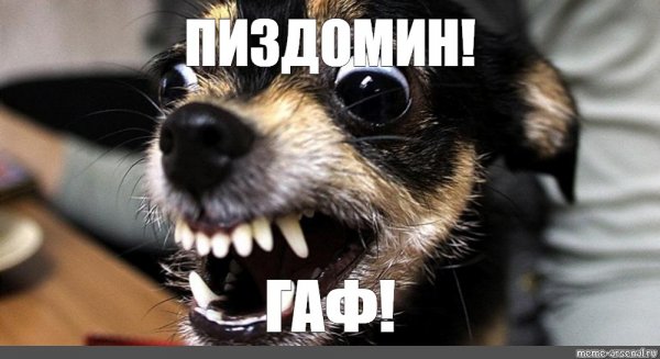 Злой пес Мем