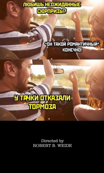Directed by Robert b Weide Мем