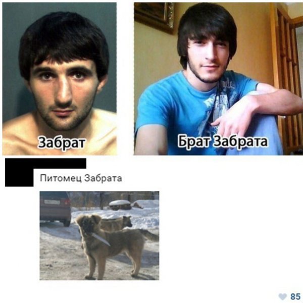 Забрат брат Забрата Мем