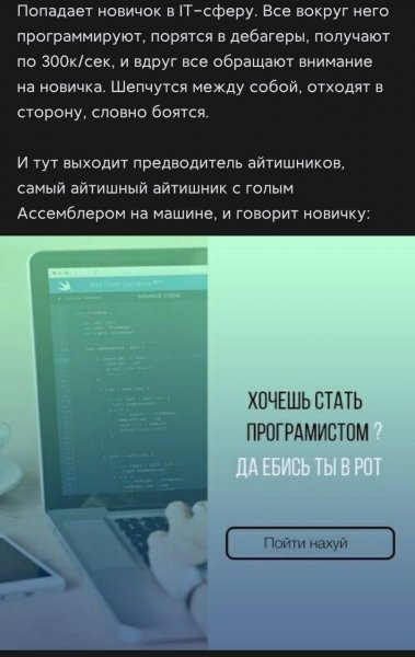 Хочешь стать программистом да ебись ты