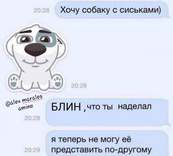Саманта Сэйнт порнозвезда