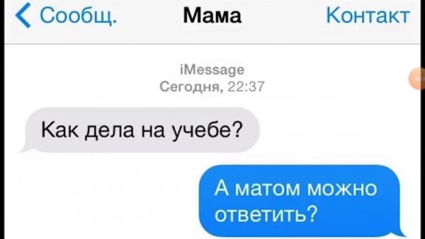 Мем переписка