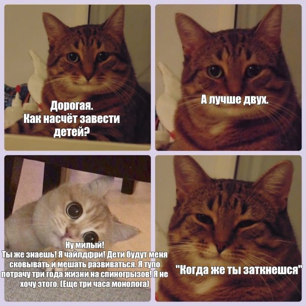 Милый кот улыбается