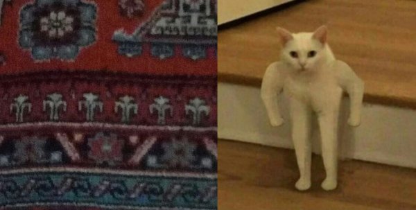 Пикчи для переговоров с котом