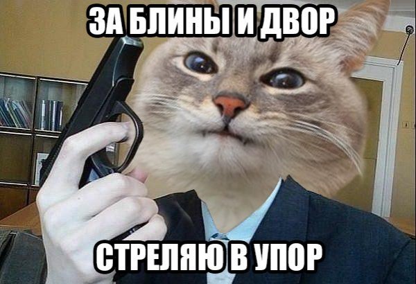 Кот Мем с надписью