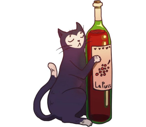 Котик с бутылкой вина