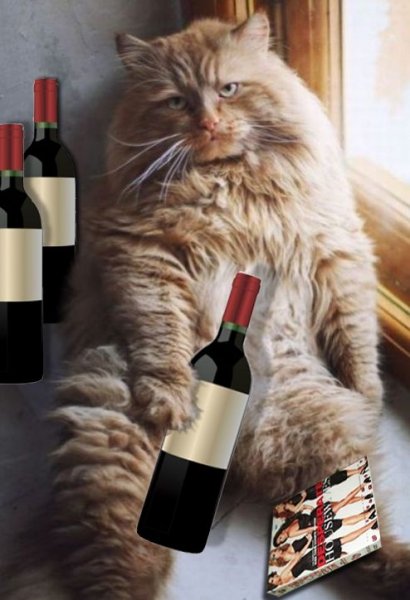 Кот с вином
