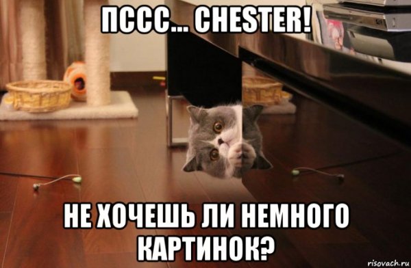 Ты должен был бороться со злом