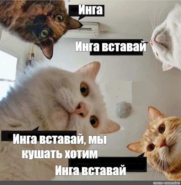 Инг приколы