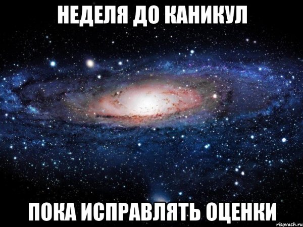 Соня я тебя люблю