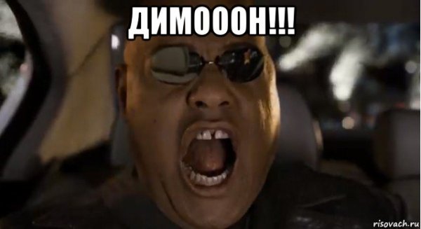 Мем ДИМОООН Лис