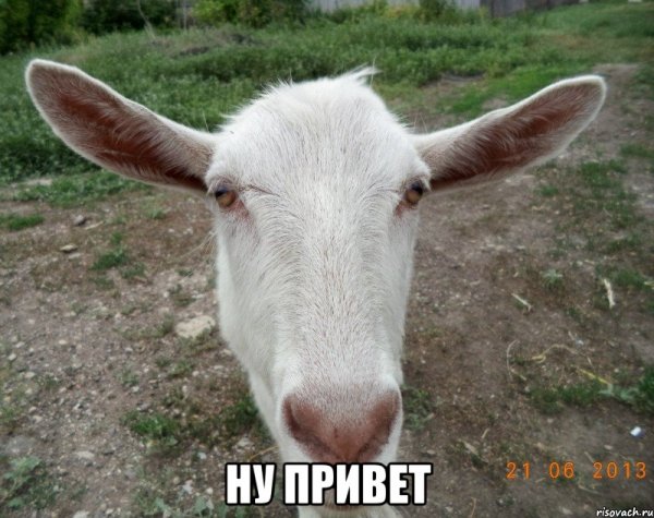Ну привет