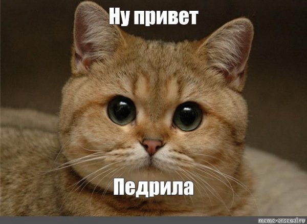 С днищем тебя Пидрила