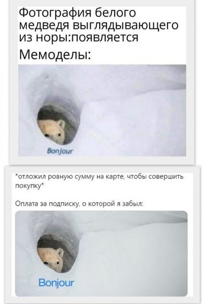 Мемы 2021