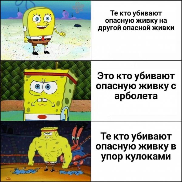 Мемы 2021