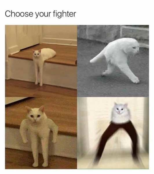 Choose your Fighter Мем