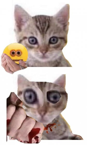 Смайлик сжимает кота