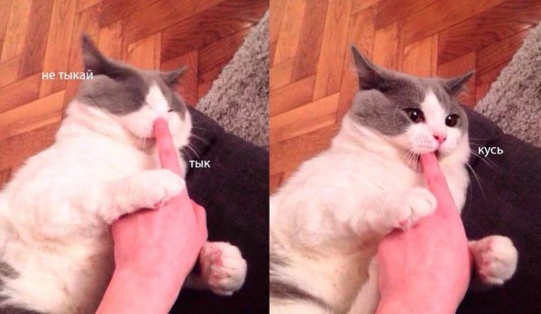 Кус Мем