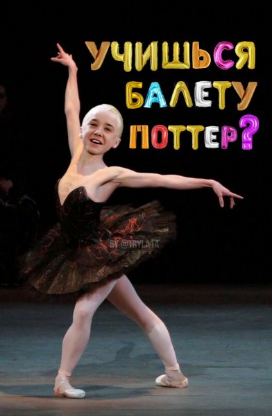 Мемы про учащегося балету поттера (41 фото)