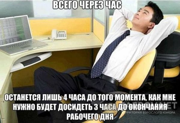 Шутки про офис