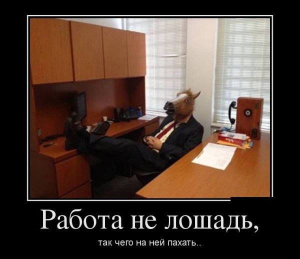 Приколы про работу