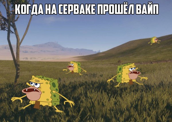 Баннер для Дискорд нитро