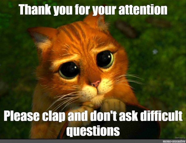 Thank you for your attention с котиком