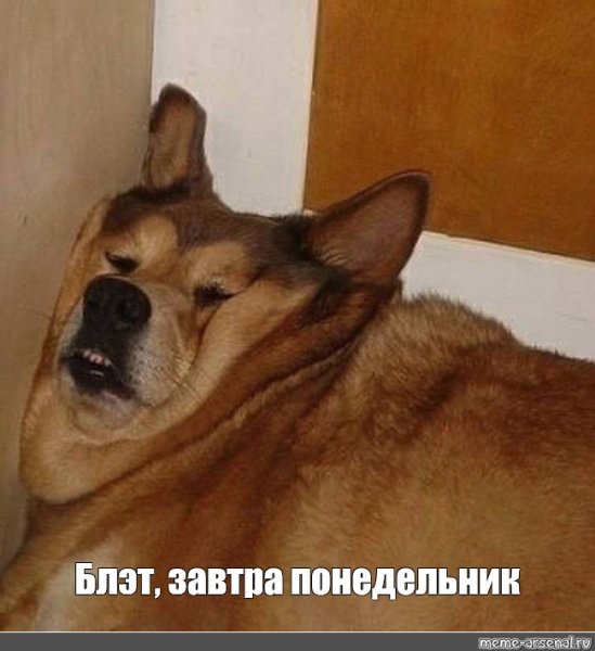 Собака облизывается Мем